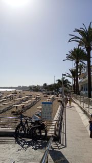 GC-Playa de Las Burras 2026-23.jpg